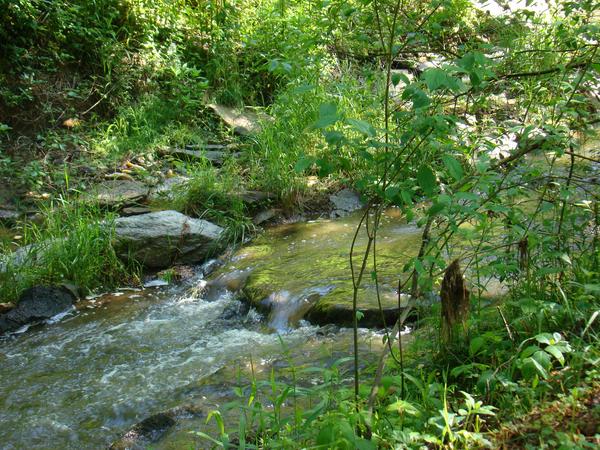 Photo of RV Park/Campground