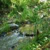 Photo of RV Park/Campground