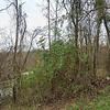 Mobile Home for Sale: 1999 Mobile Home