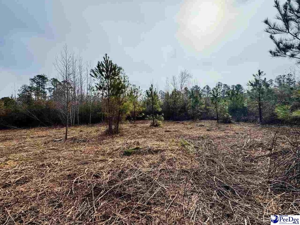 Photo of Mobile Home Lot