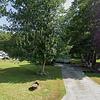 Mobile Home for Sale: 3 Bed 2 Bath 1993 Mobile Home