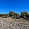 Photo of Mobile Home Lot