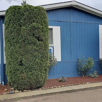 Thumbnail of mobile home