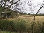 Photo of Mobile Home Lot