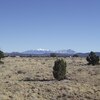 Photo of Mobile Home Lot