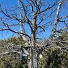 Photo of Mobile Home Lot