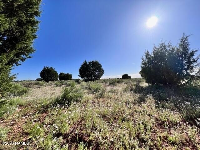 Photo of Mobile Home Lot