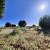 Photo of Mobile Home Lot
