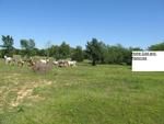 Photo of Mobile Home Lot