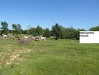 Photo of Mobile Home Lot
