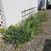 Mobile Home for Sale: 2 Bed 2 Bath 1982 Mobile Home