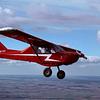 Aircraft for Sale: Nando Groppo Trail