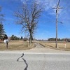 Mobile Home for Sale: Mobile Home