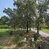 Mobile Home for Sale: 3 Bed 2 Bath Mobile Home