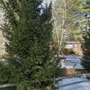 Mobile Home for Sale: 1969 Mobile Home