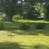 Mobile Home Lot for Sale: AR, ASHDOWN - Land for sale., Ashdown, AR