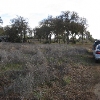 Photo of Mobile Home Park