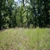 Mobile Home Lot for Sale: TN, SAULSBURY - Land for sale., Saulsbury, TN