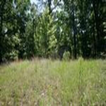 Photo of Mobile Home Lot