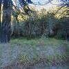 Mobile Home for Sale: 1974 Mobile Home