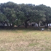 Photo of RV Park/Campground