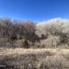 Photo of Mobile Home Lot