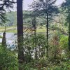 Mobile Home for Sale: Double Wide Manufactured - Manufactured Home on Real Property, Port Orford, OR