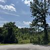 Mobile Home Lot for Sale: Charming 4.4 Acres in Santee - Premier Location & Subdivision, Santee, SC
