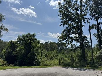 Thumbnail of mobile home lot