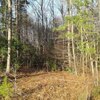 Photo of Mobile Home Lot
