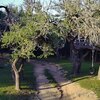 Mobile Home for Sale: Mobile Home, None,Mobile Home - Kempner, TX, Kempner, TX