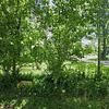 Mobile Home for Sale: 3 Bed 2 Bath 1977 Mobile Home