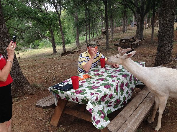 Photo of RV Park/Campground