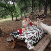 Photo of RV Park/Campground
