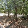 Mobile Home for Sale: 2 Bed 1 Bath 1972 Mobile Home