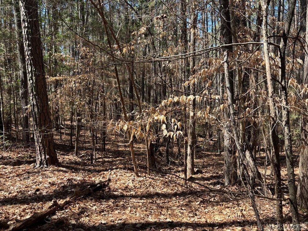 Photo of Mobile Home Lot