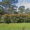Mobile Home for Sale: 1995 Mobile Home