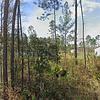 Mobile Home for Sale: 4 Bed 2 Bath 2021 Mobile Home