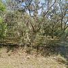 Mobile Home for Sale: 3 Bed 2 Bath 1995 Mobile Home