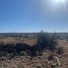 Photo of Mobile Home Lot