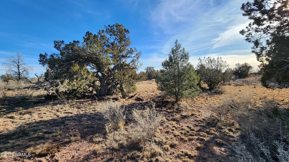 Photo of Mobile Home Lot