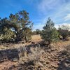 Photo of Mobile Home Lot