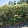 Mobile Home for Sale: 2 Bed 2 Bath 1977 Mobile Home