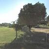 Mobile Home for Sale: 3 Bed 2 Bath 1982 Mobile Home