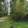 Mobile Home for Sale: 2003 Mobile Home