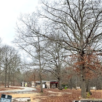 Photo of Approx 2 Acre Mobile Home Lot, Great Location, No Credit Check!