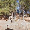 Mobile Home for Sale: 4 Bed 1.5 Bath 1980 Mobile Home