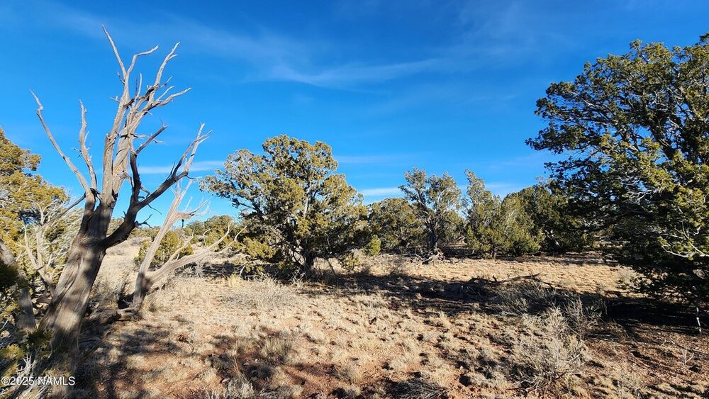 Photo of Mobile Home Lot