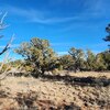 Photo of Mobile Home Lot