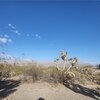 Photo of Mobile Home Lot